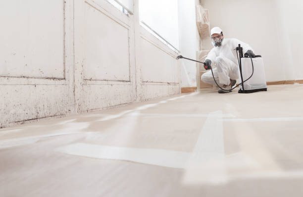Black mold remediation team in Stillwater